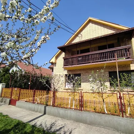 Apartment Branka Surcin