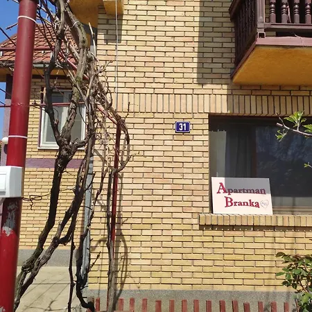 Apartment Branka